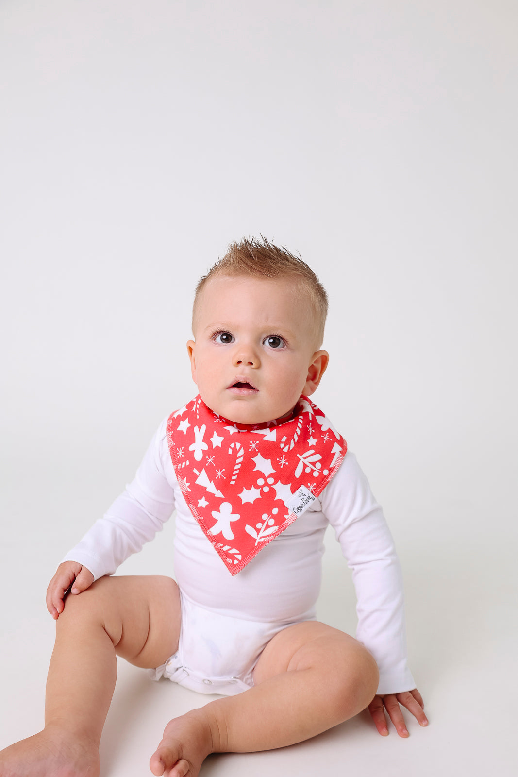 Baby Bandana Bibs - Jolly