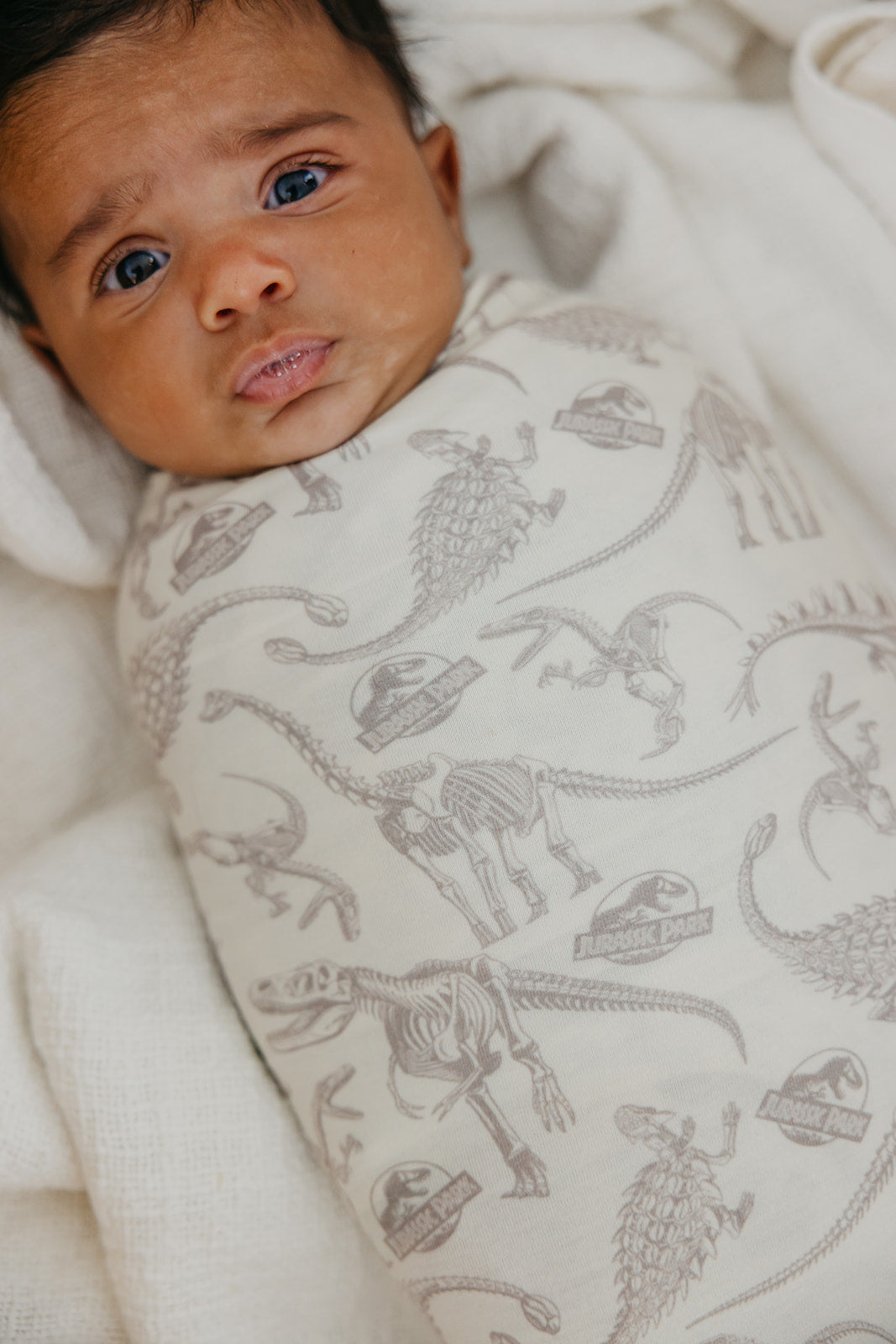 Knit Swaddle Blanket - Jurassic Park Fossils