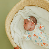 Ribbon Baby Bow - Webster