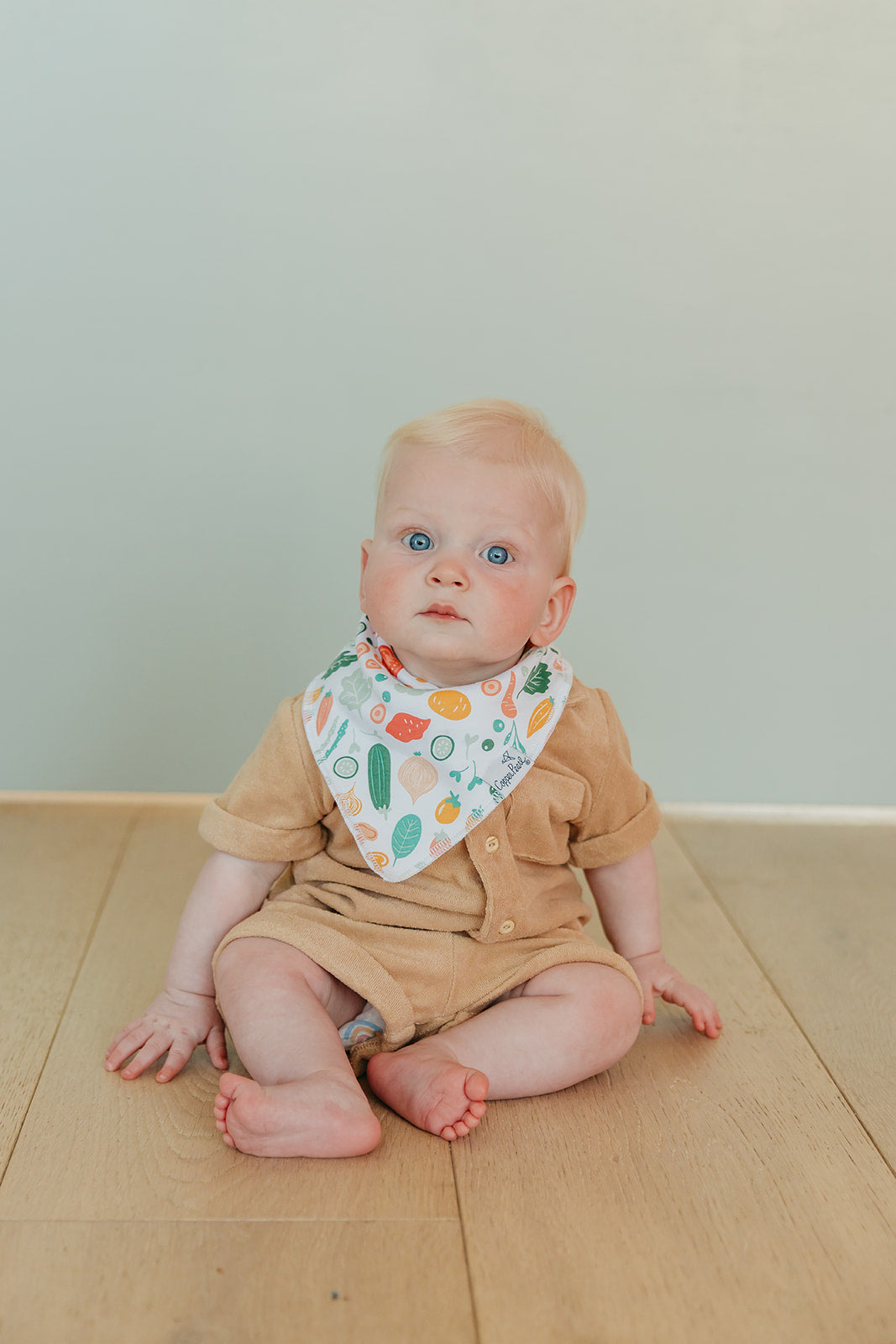 Baby Bandana Bibs - Veggies