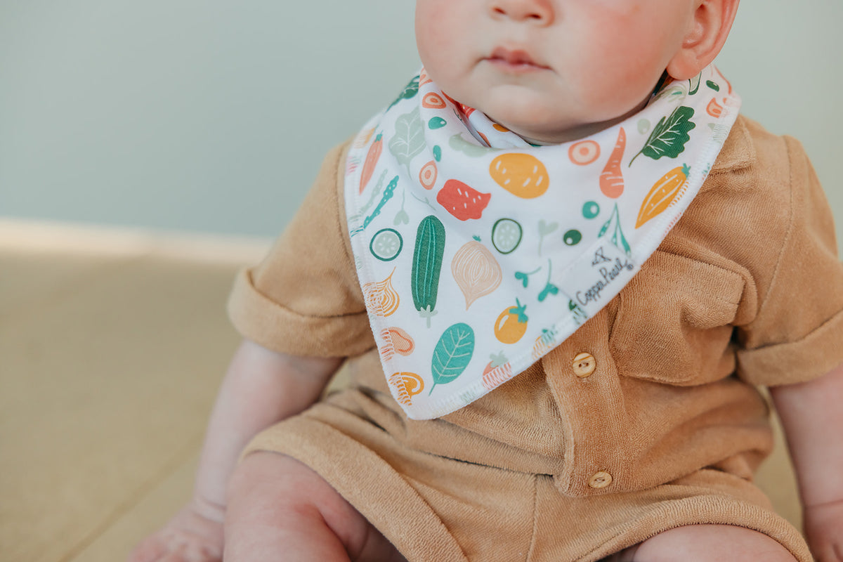 Baby Bandana Bibs - Veggies