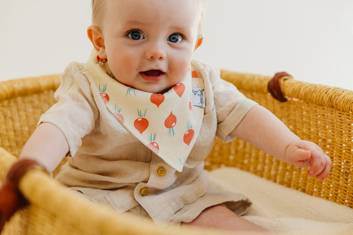 Baby Bandana Bibs - Veggies