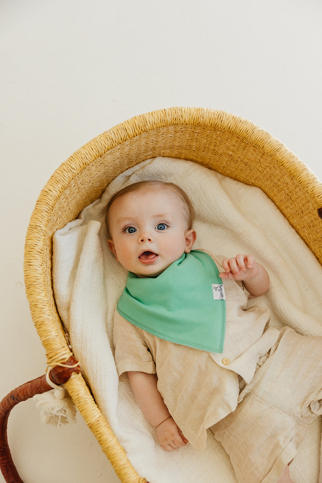 Baby Bandana Bibs - Veggies – Copper Pearl