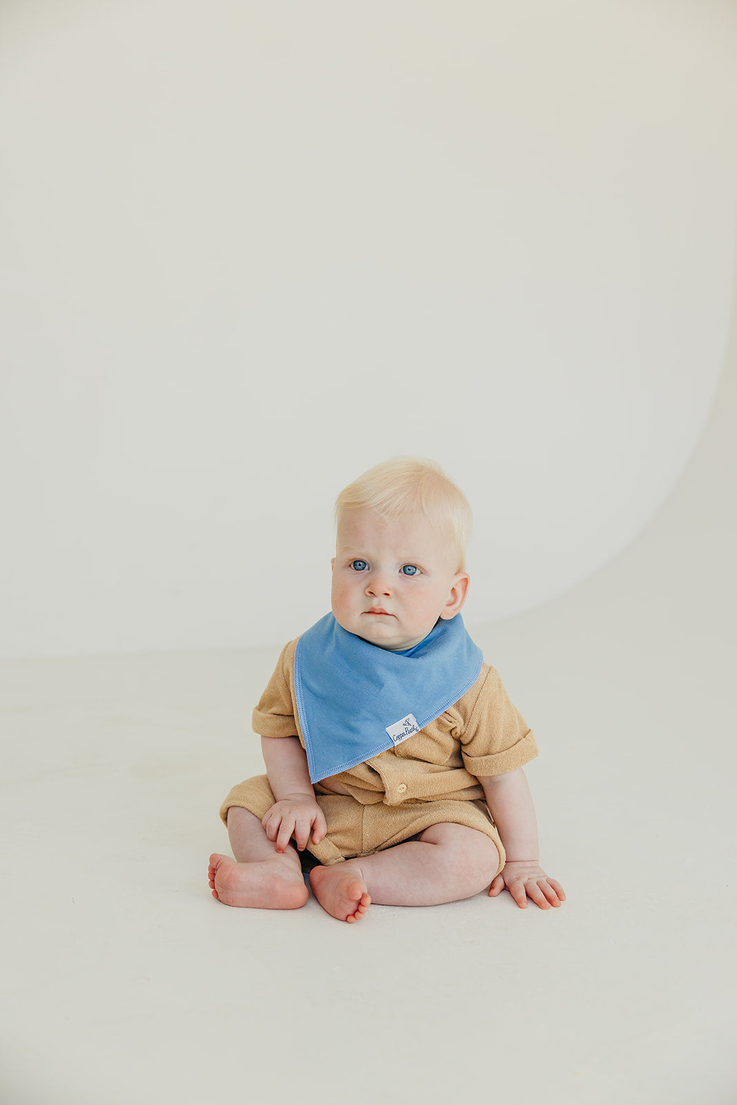 Baby Bandana Bibs - Veggies