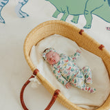 Footed Baby Pants - Dinosaurs of Jurassic Park