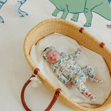 Footed Baby Pants - Dinosaurs of Jurassic Park