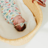 Bowtie Baby Bow - Dinosaurs of Jurassic Park