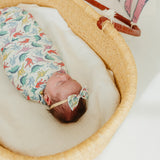 Bowtie Baby Bow - Dinosaurs of Jurassic Park