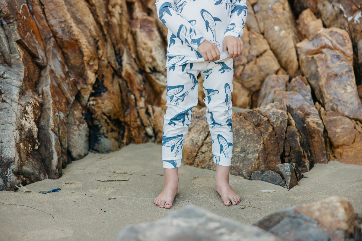 2pc Long Sleeve Pajama Set - Cove