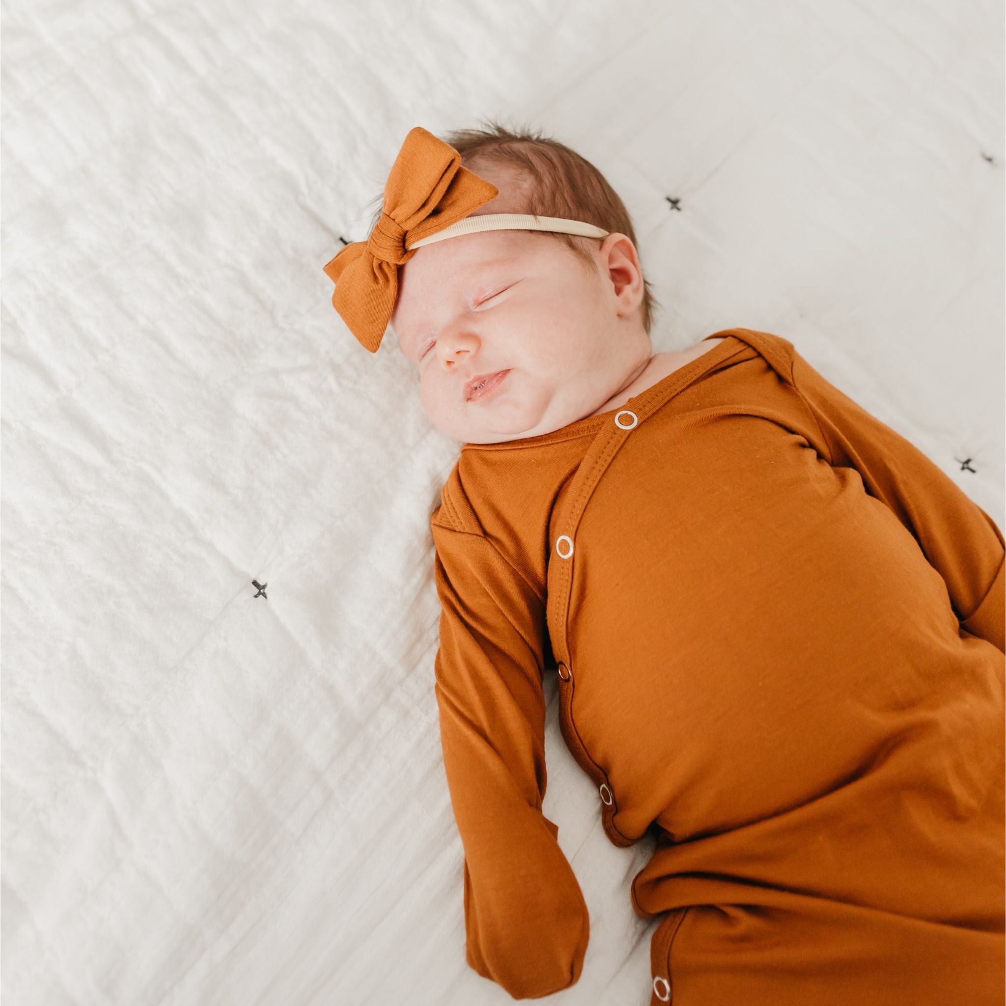 Classic Nylon Bow - Powell