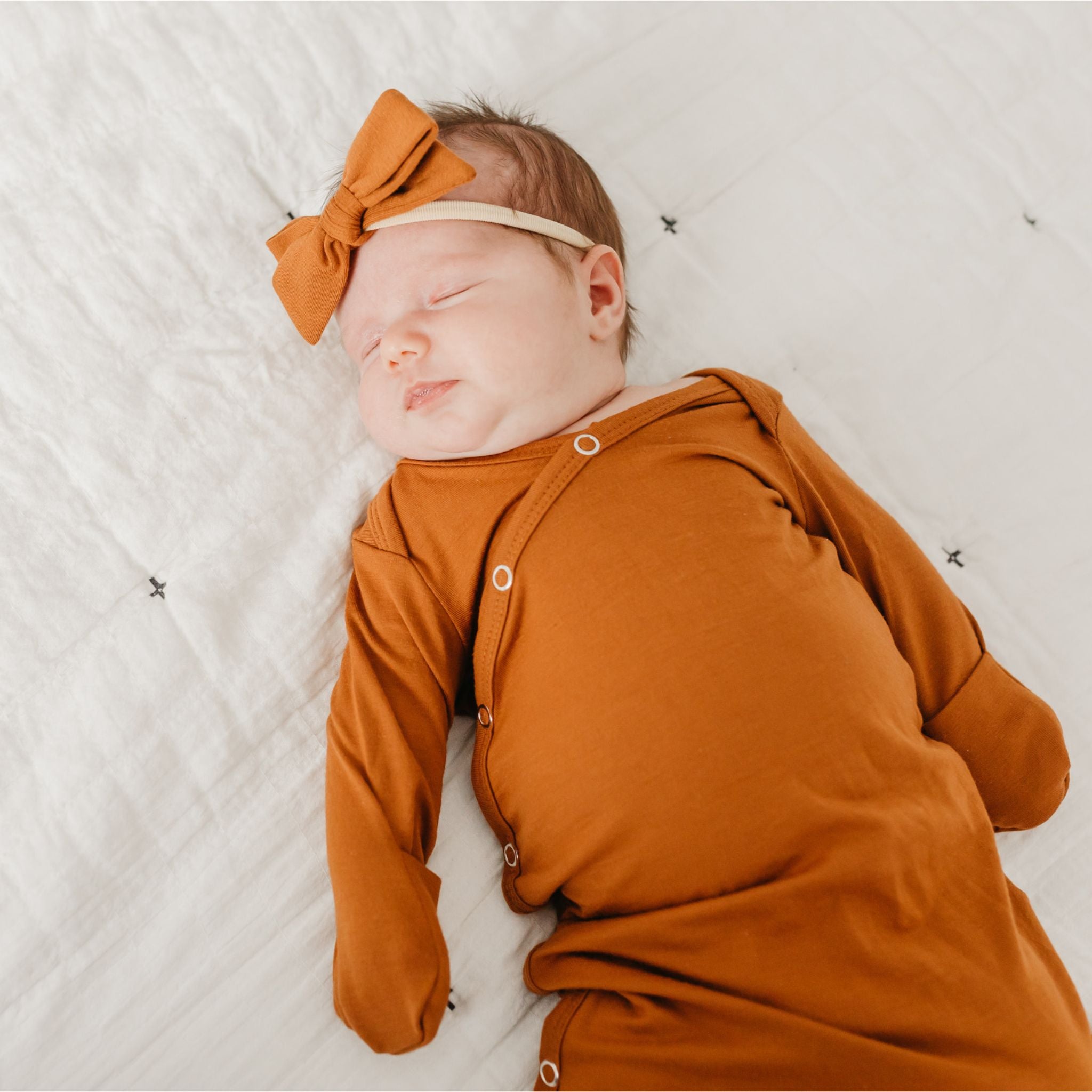 Classic Nylon Bow - Powell