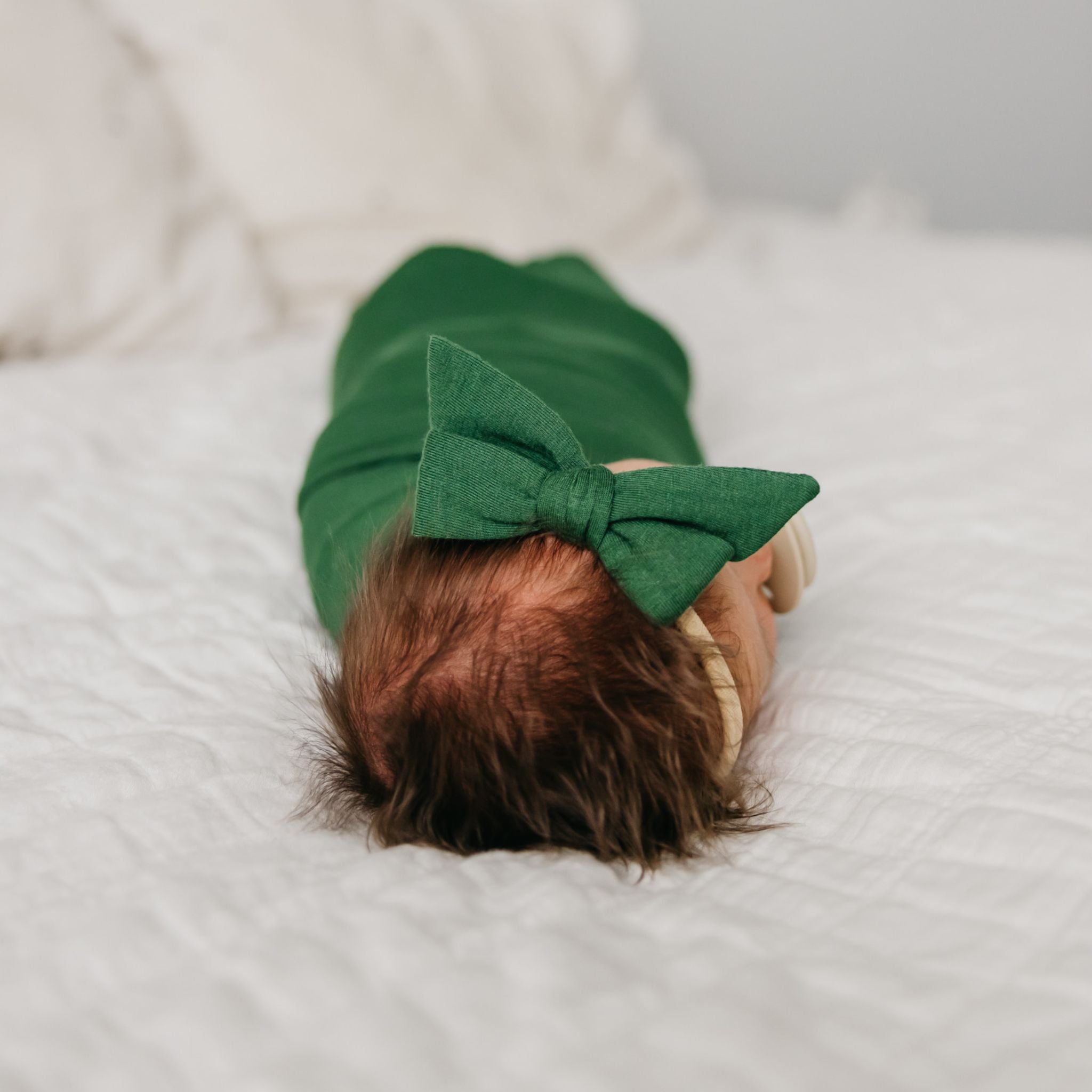 Classic Nylon Bow - Alder