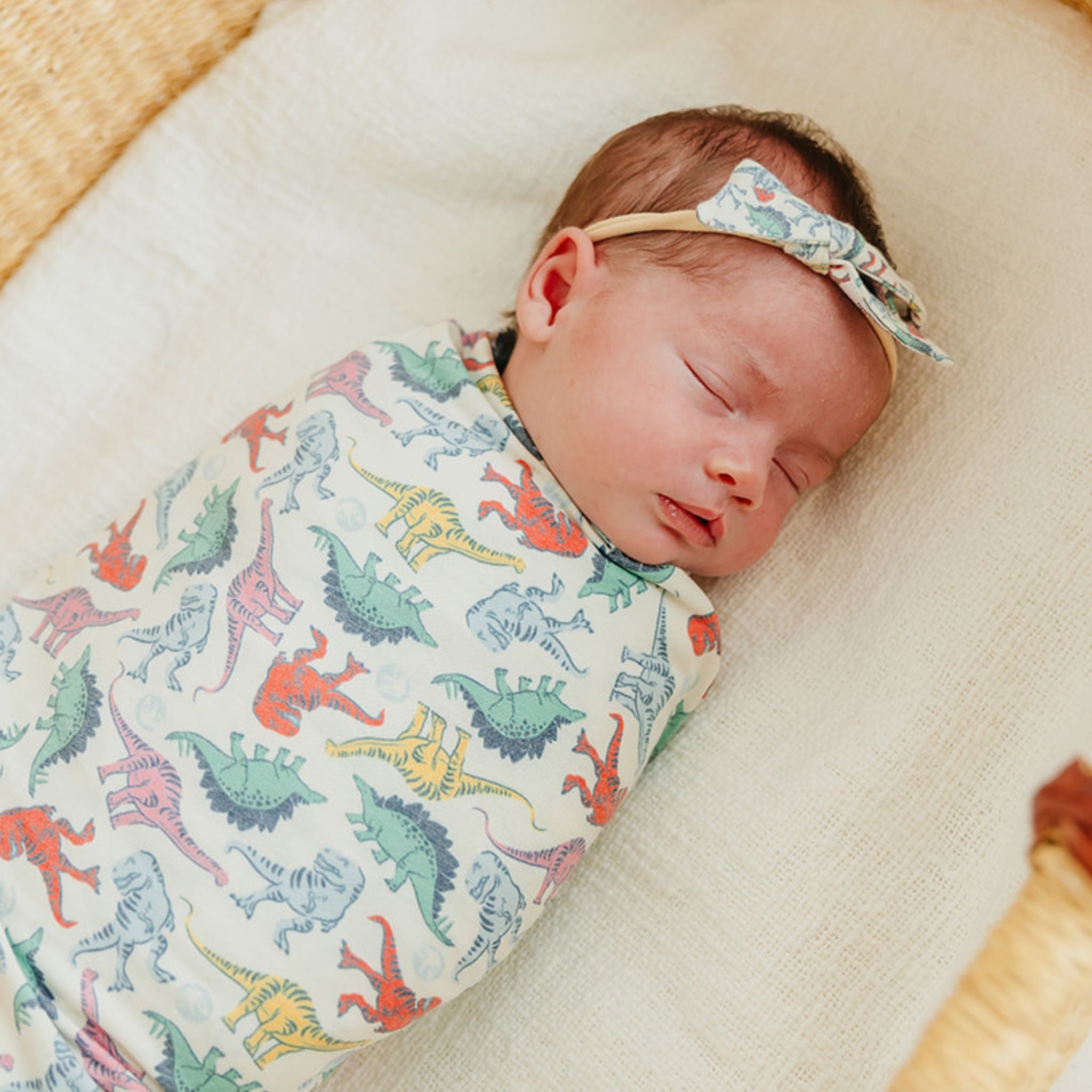 Classic Nylon Bow - Dinosaurs of Jurassic Park