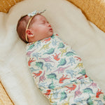 Classic Nylon Bow - Dinosaurs of Jurassic Park