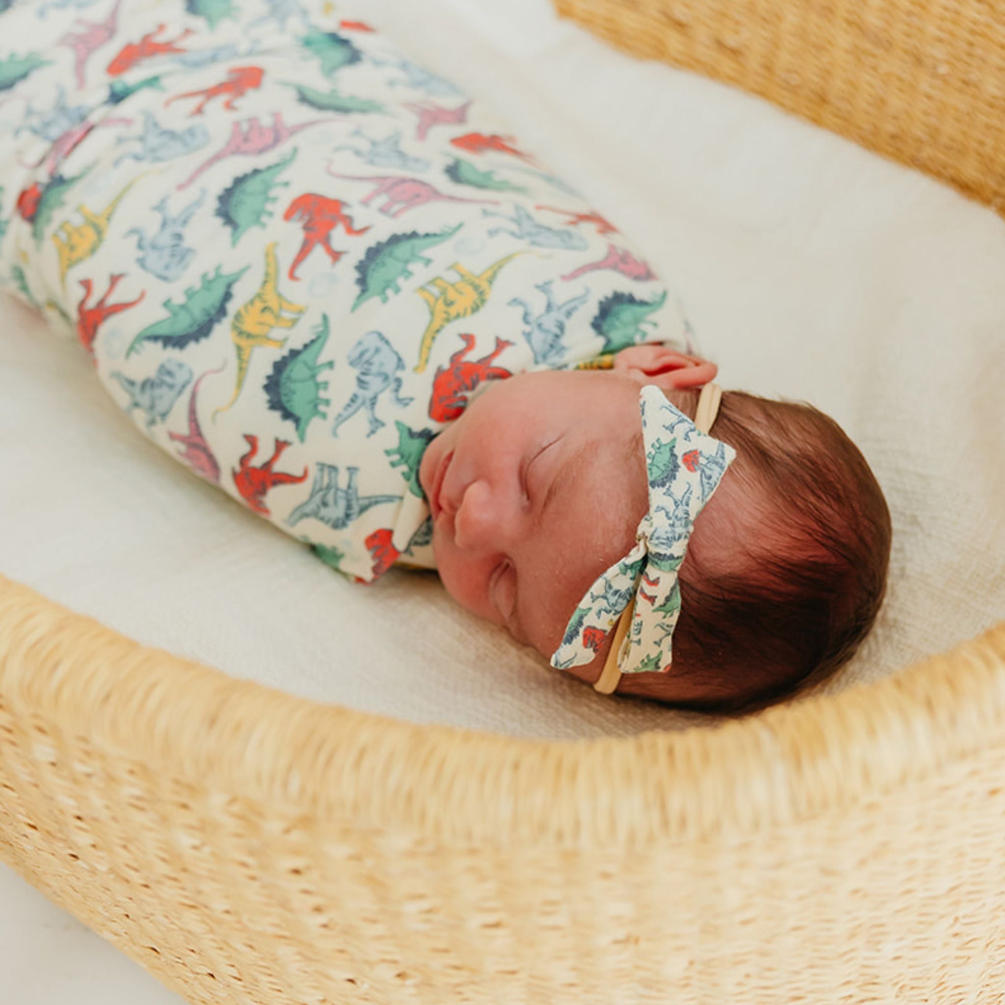 Classic Nylon Bow - Dinosaurs of Jurassic Park