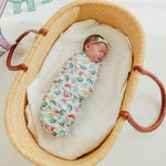 Classic Nylon Bow - Dinosaurs of Jurassic Park