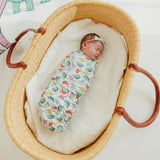 Classic Nylon Bow - Dinosaurs of Jurassic Park