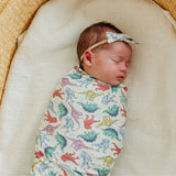 Classic Nylon Bow - Dinosaurs of Jurassic Park