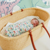 Classic Nylon Bow - Dinosaurs of Jurassic Park