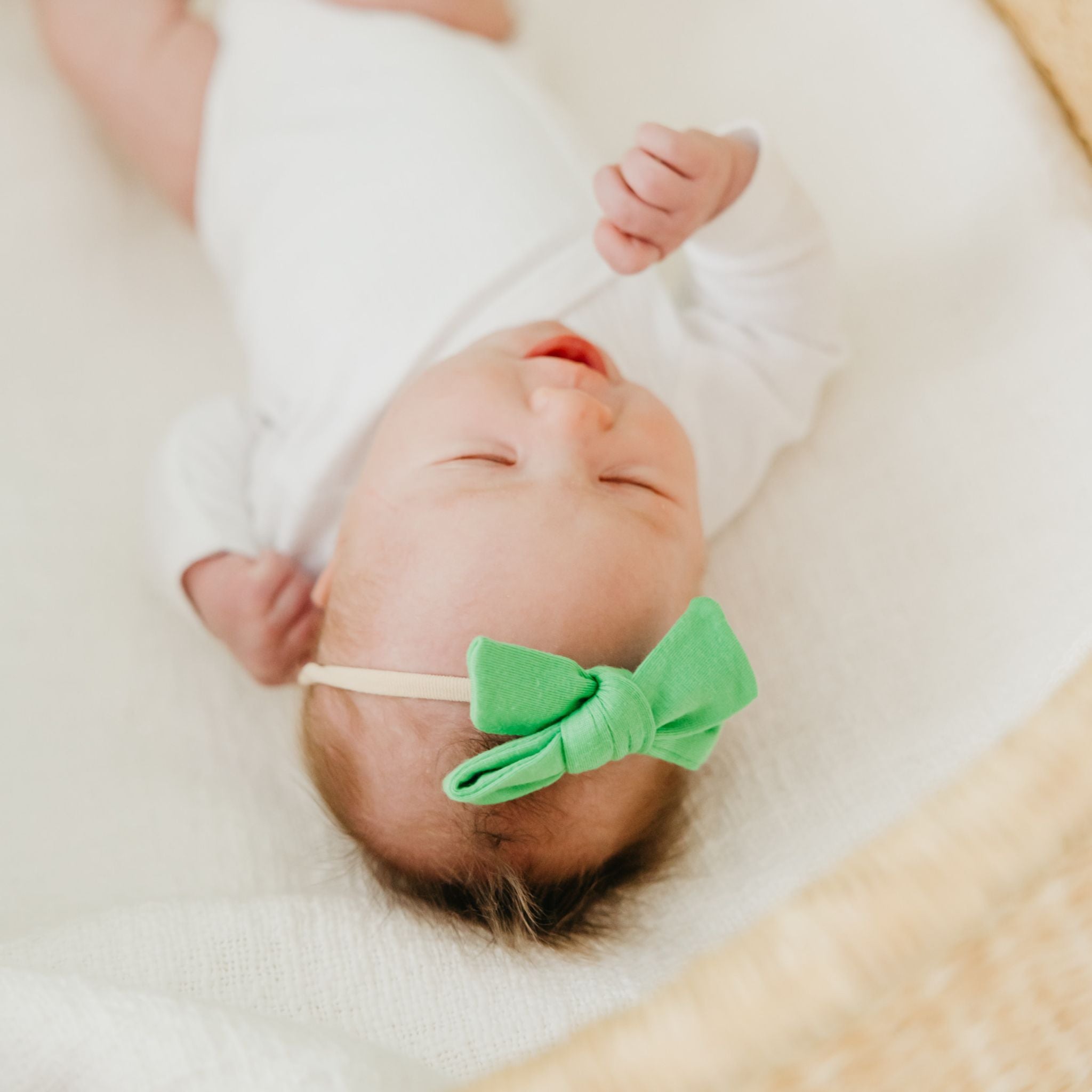 Classic Nylon Bow - Lime