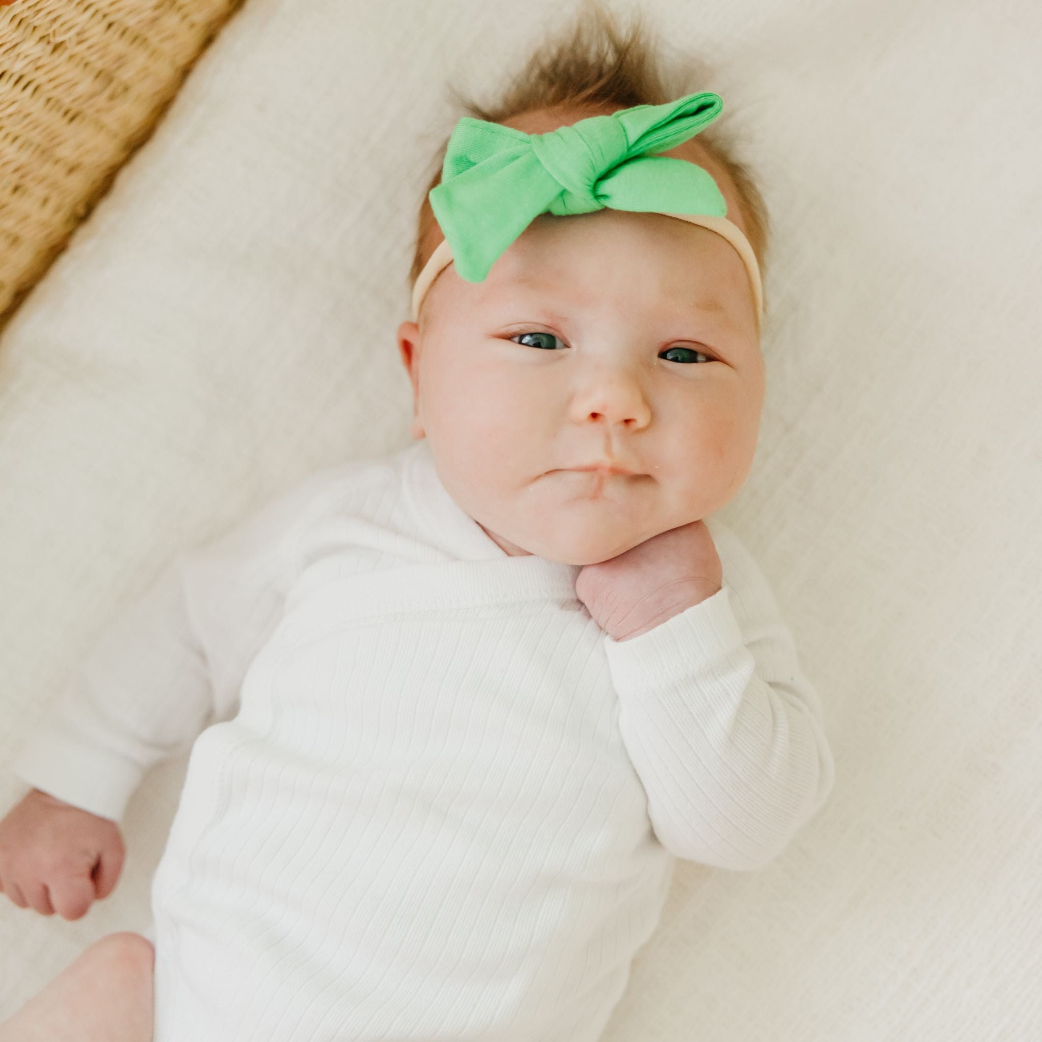 Classic Nylon Bow - Lime