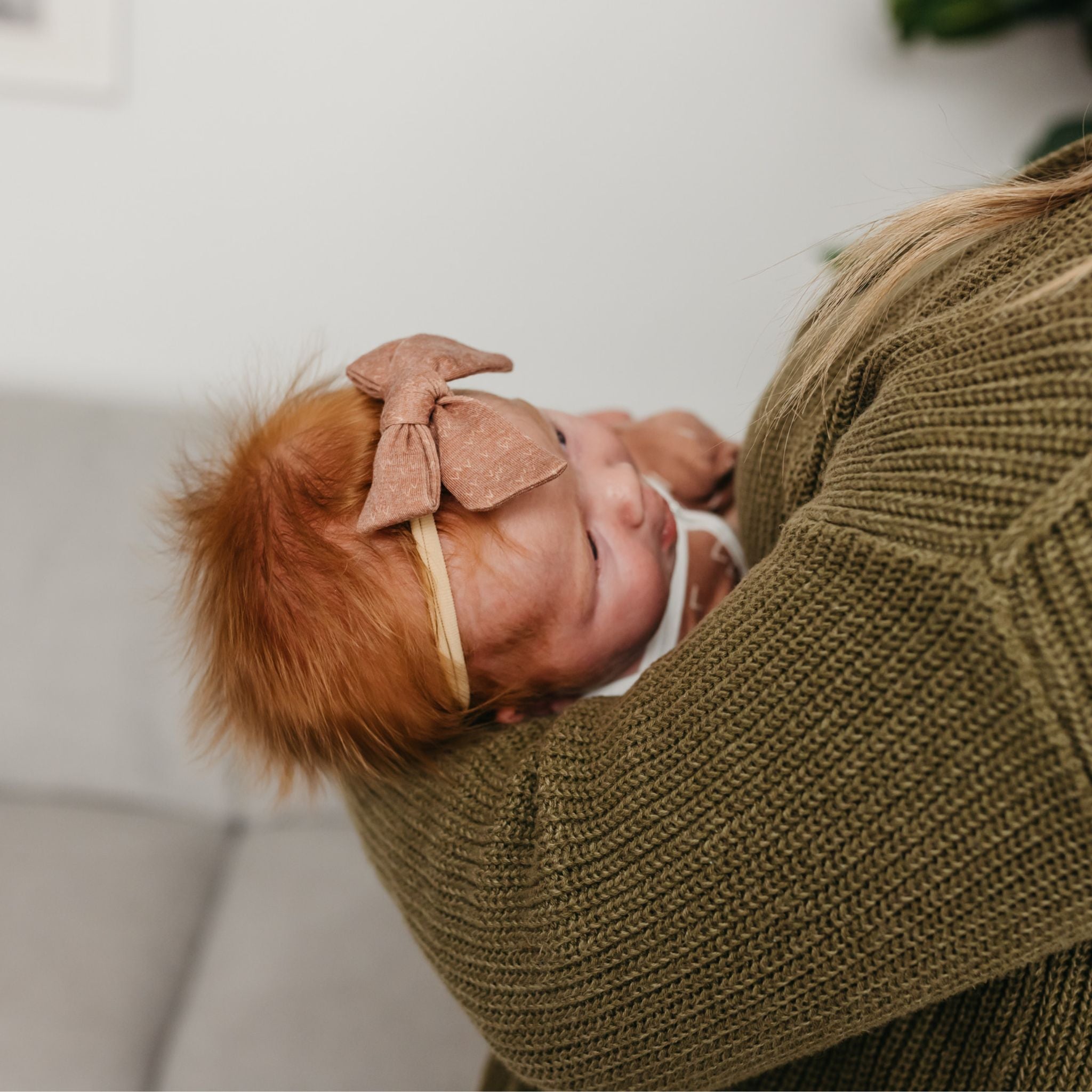 Classic Nylon Bow - Rocky