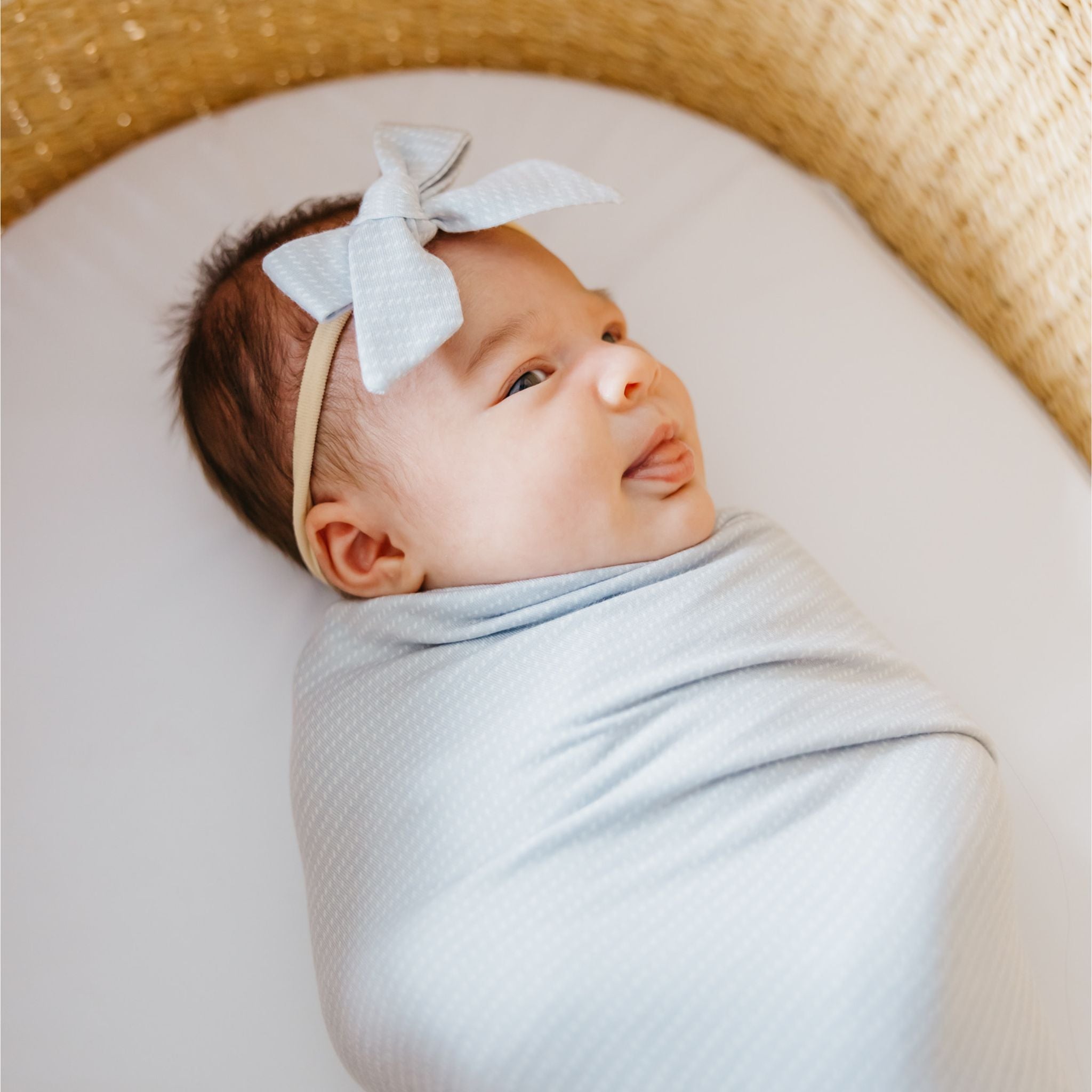 Classic Nylon Bow - Taylor