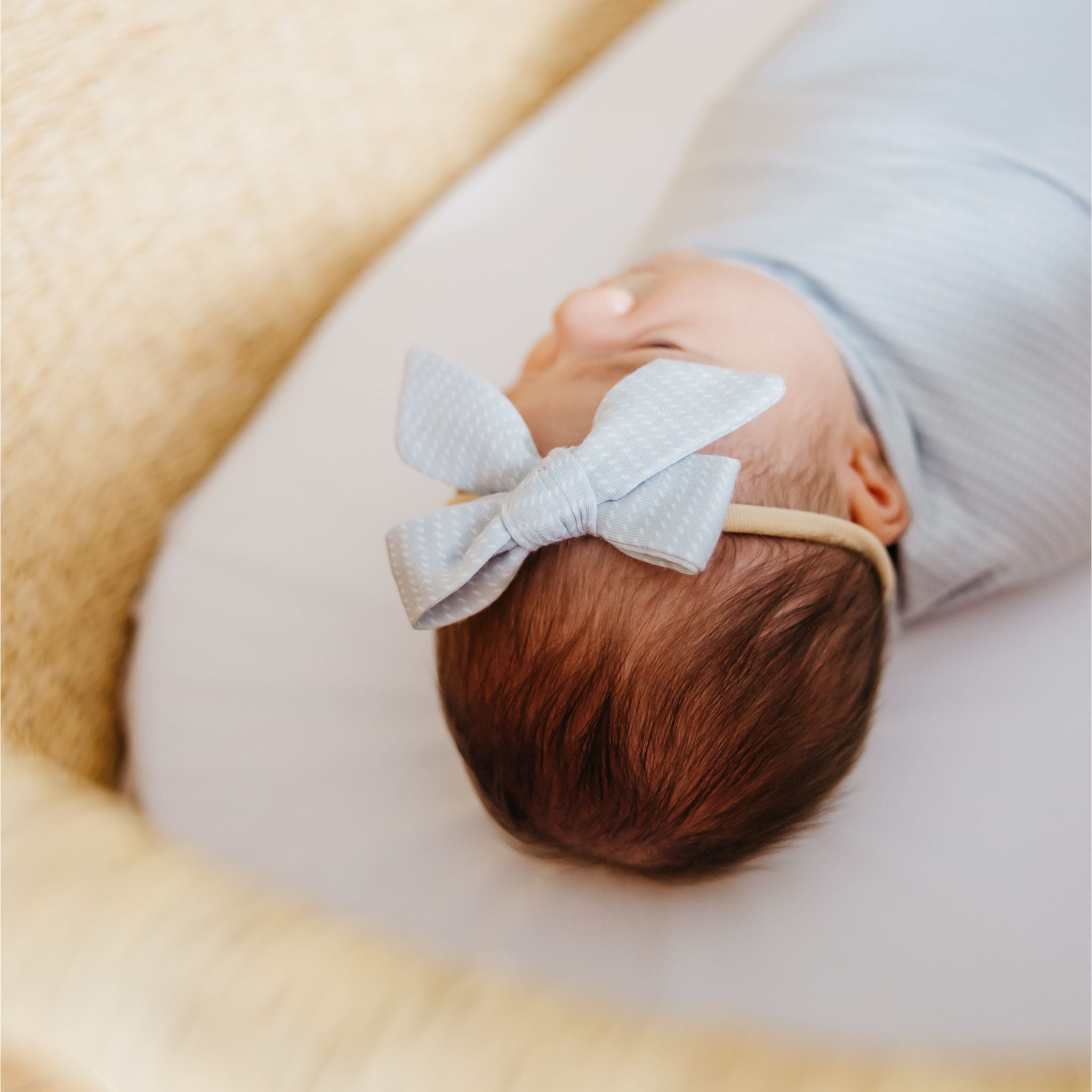 Classic Nylon Bow - Taylor