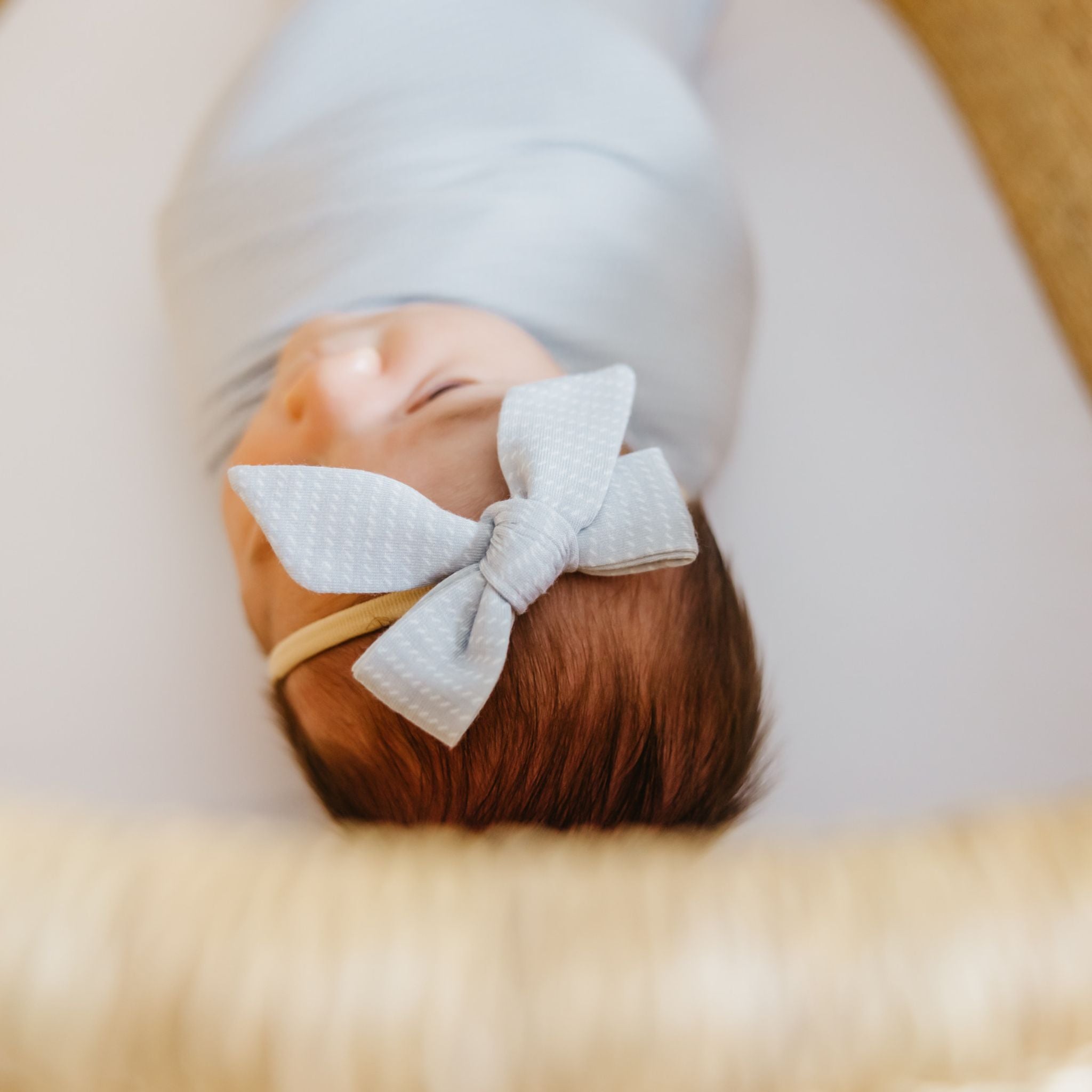 Classic Nylon Bow - Taylor