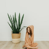 Premium Baby Knit Hooded Towel - Pecan