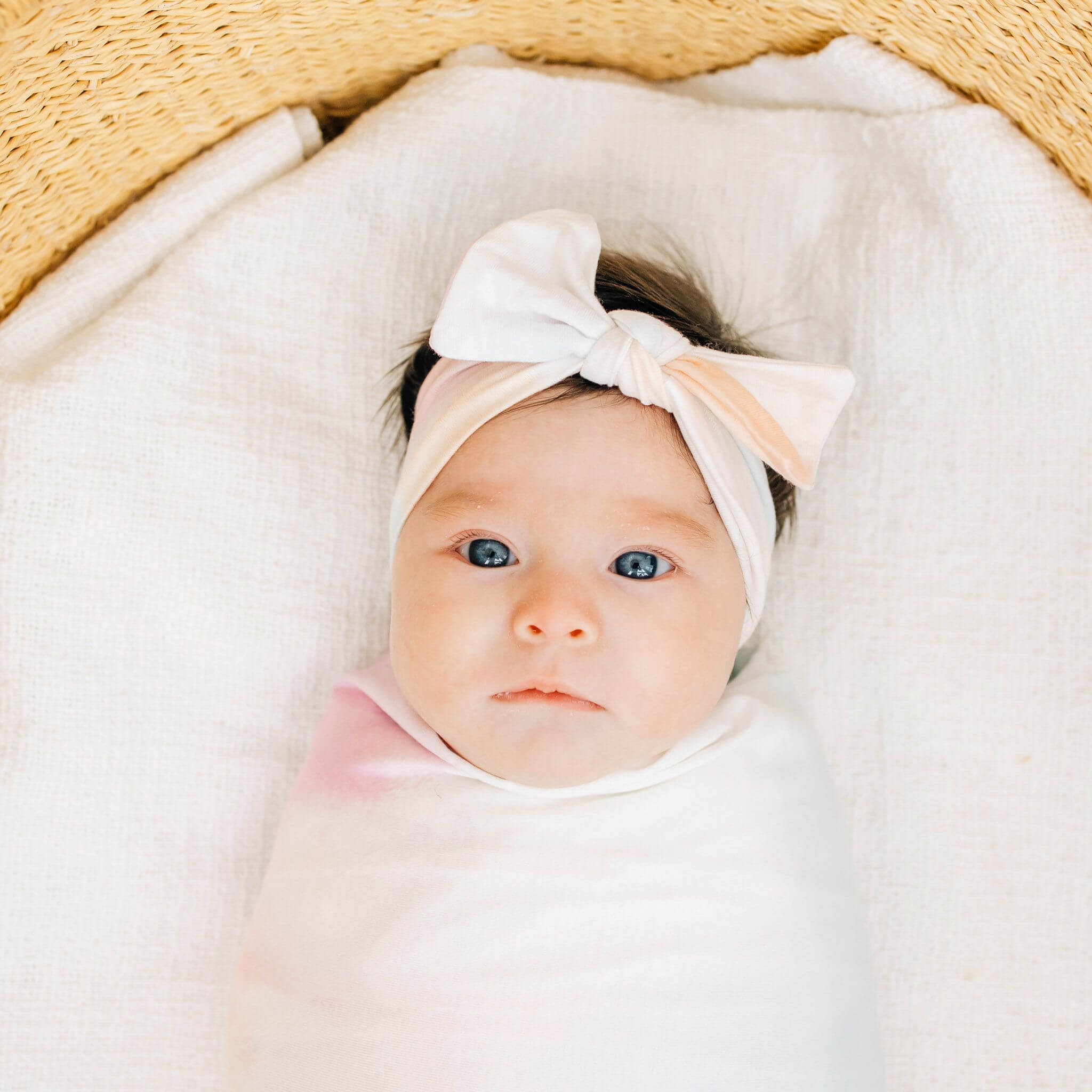 Knit Headband Bow - Nova