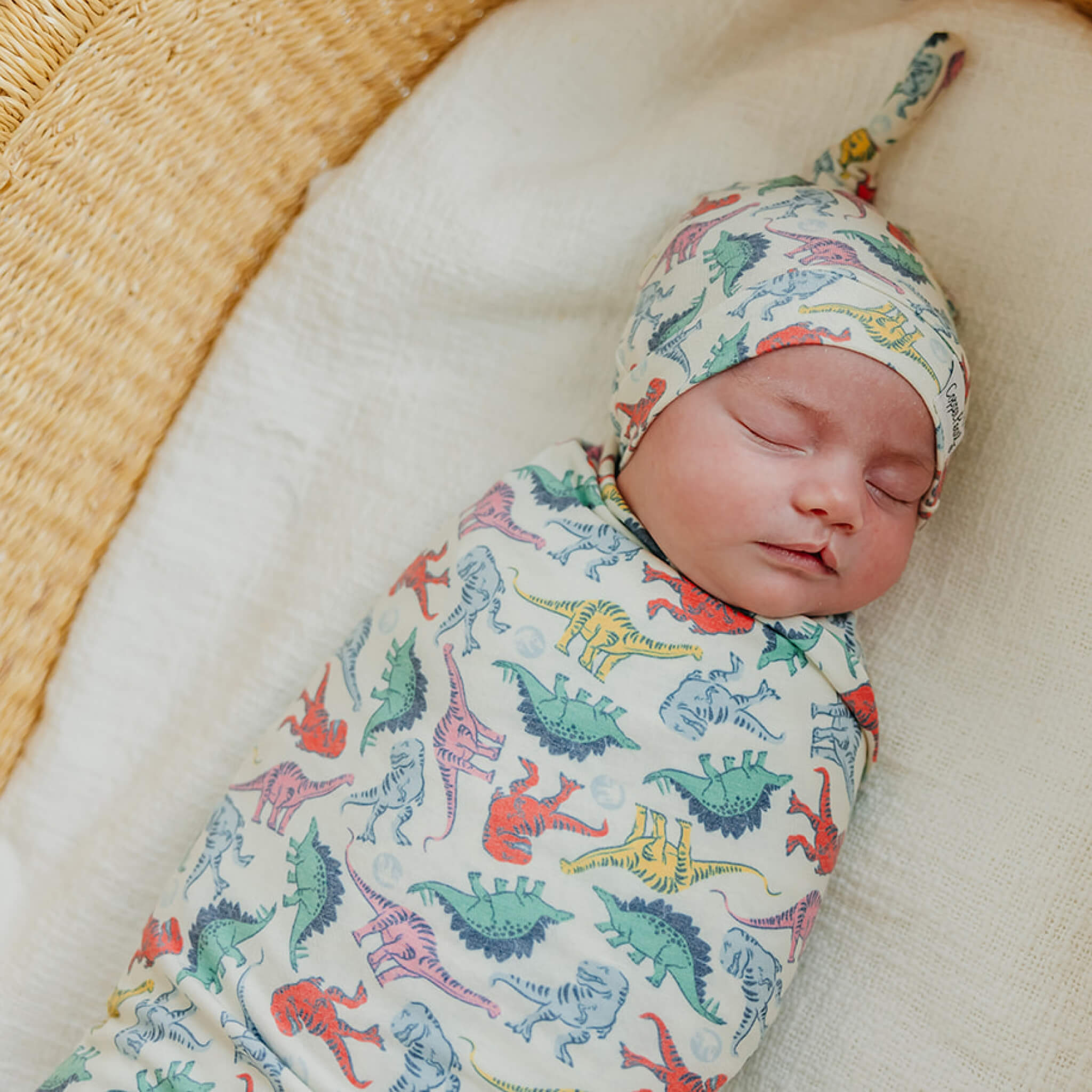 Knit Swaddle Blanket - Dinosaurs of Jurassic Park