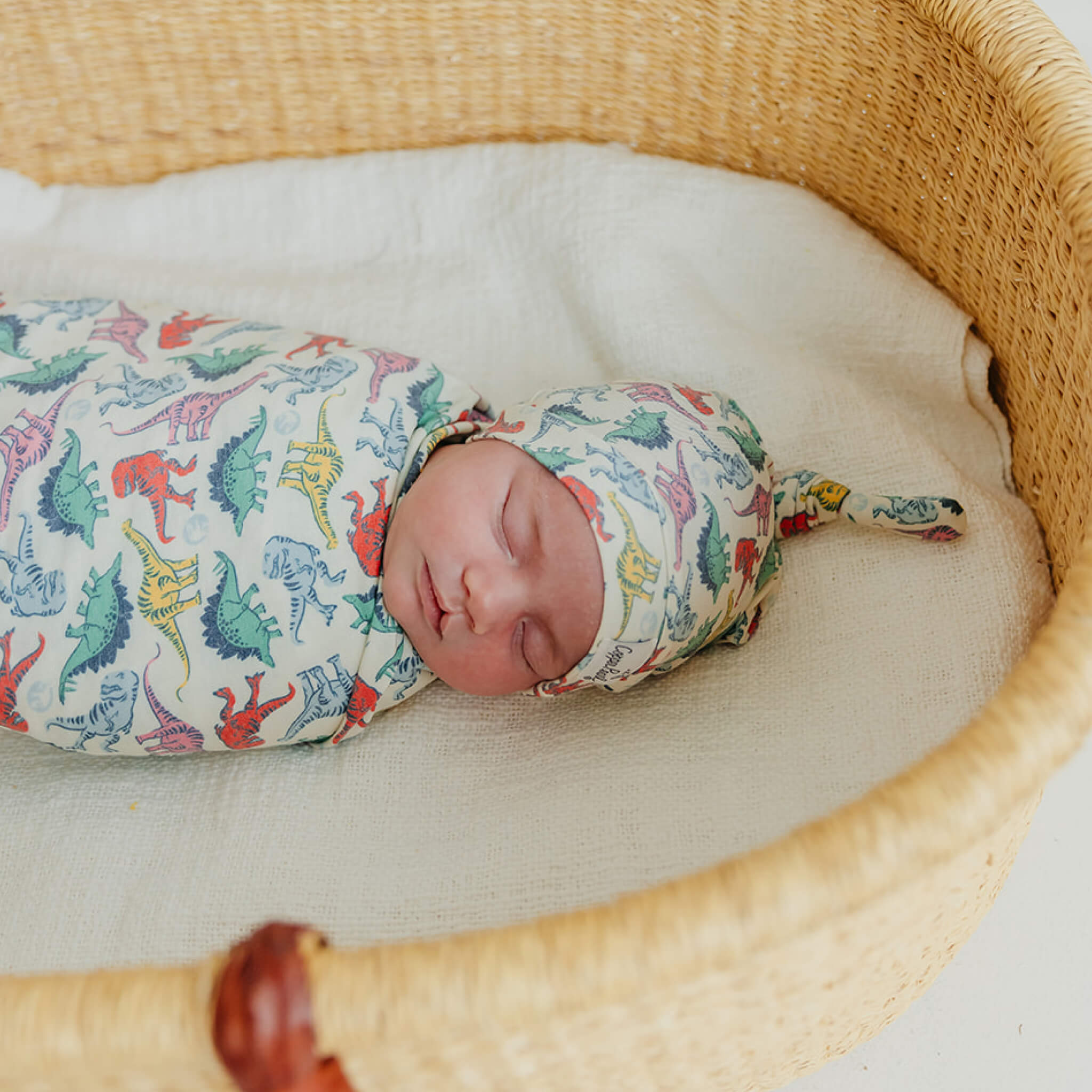 Knit Swaddle Blanket - Dinosaurs of Jurassic Park