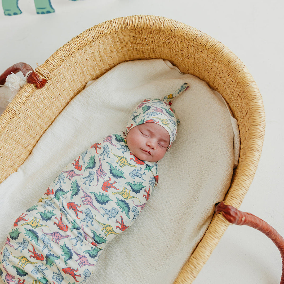 Knit Swaddle Blanket - Dinosaurs of Jurassic Park