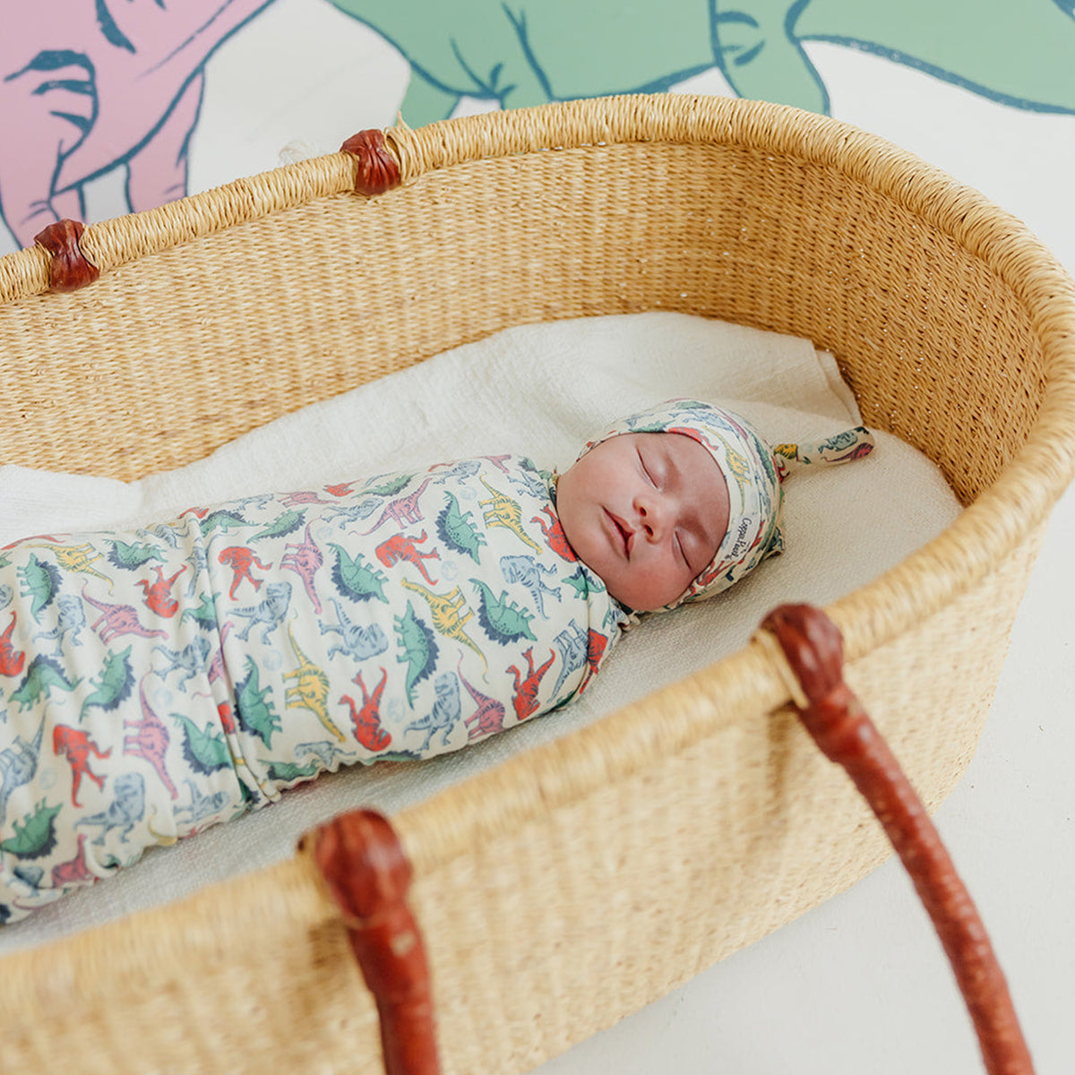 Knit Swaddle Blanket - Dinosaurs of Jurassic Park