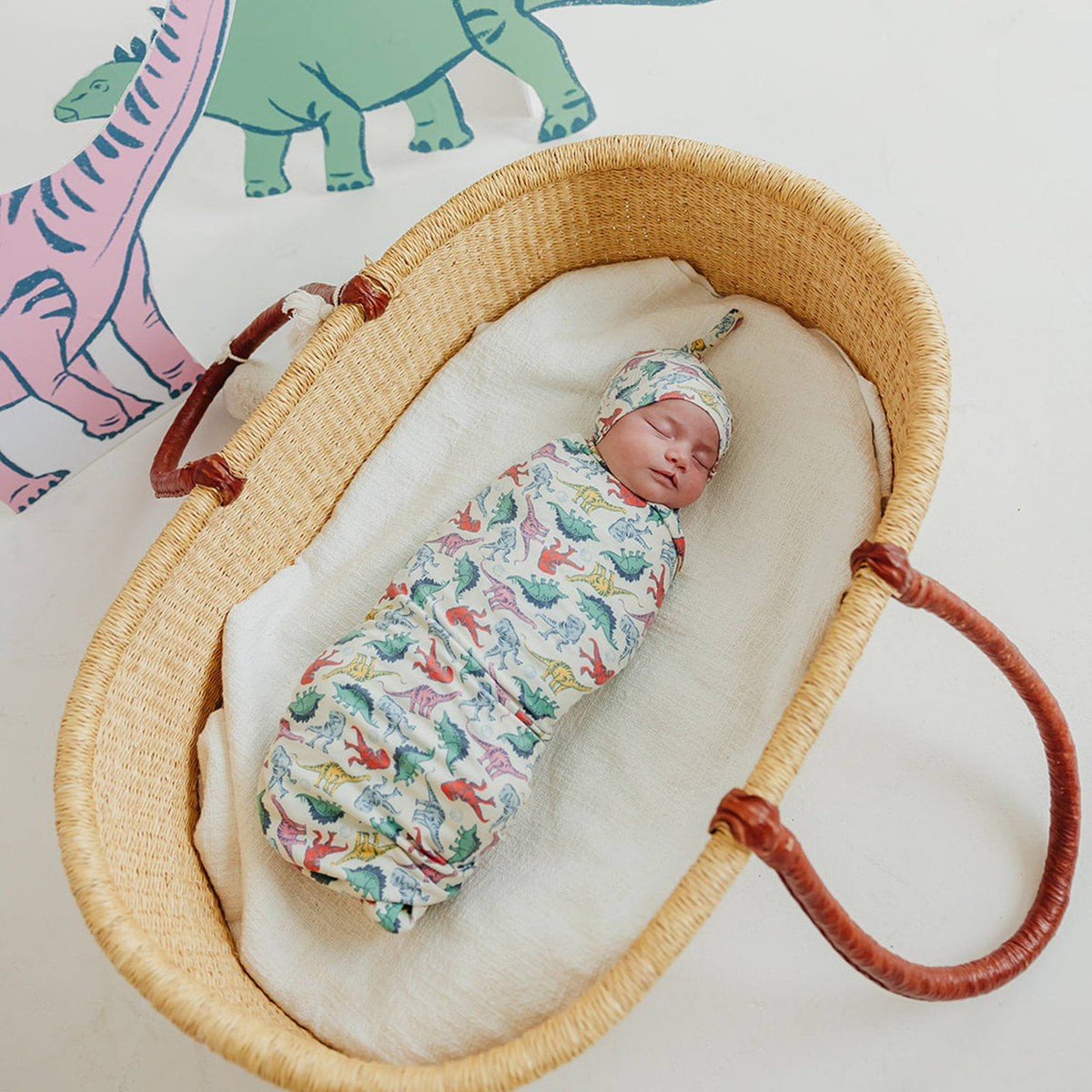 Knit Swaddle Blanket - Dinosaurs of Jurassic Park