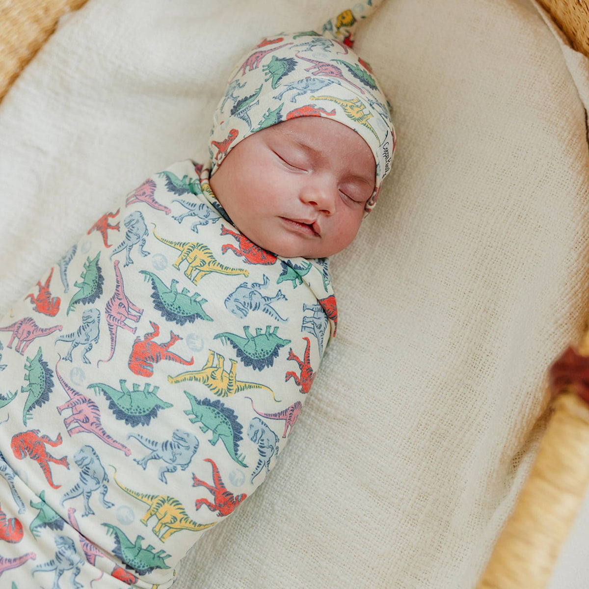 Knit Swaddle Blanket - Dinosaurs of Jurassic Park