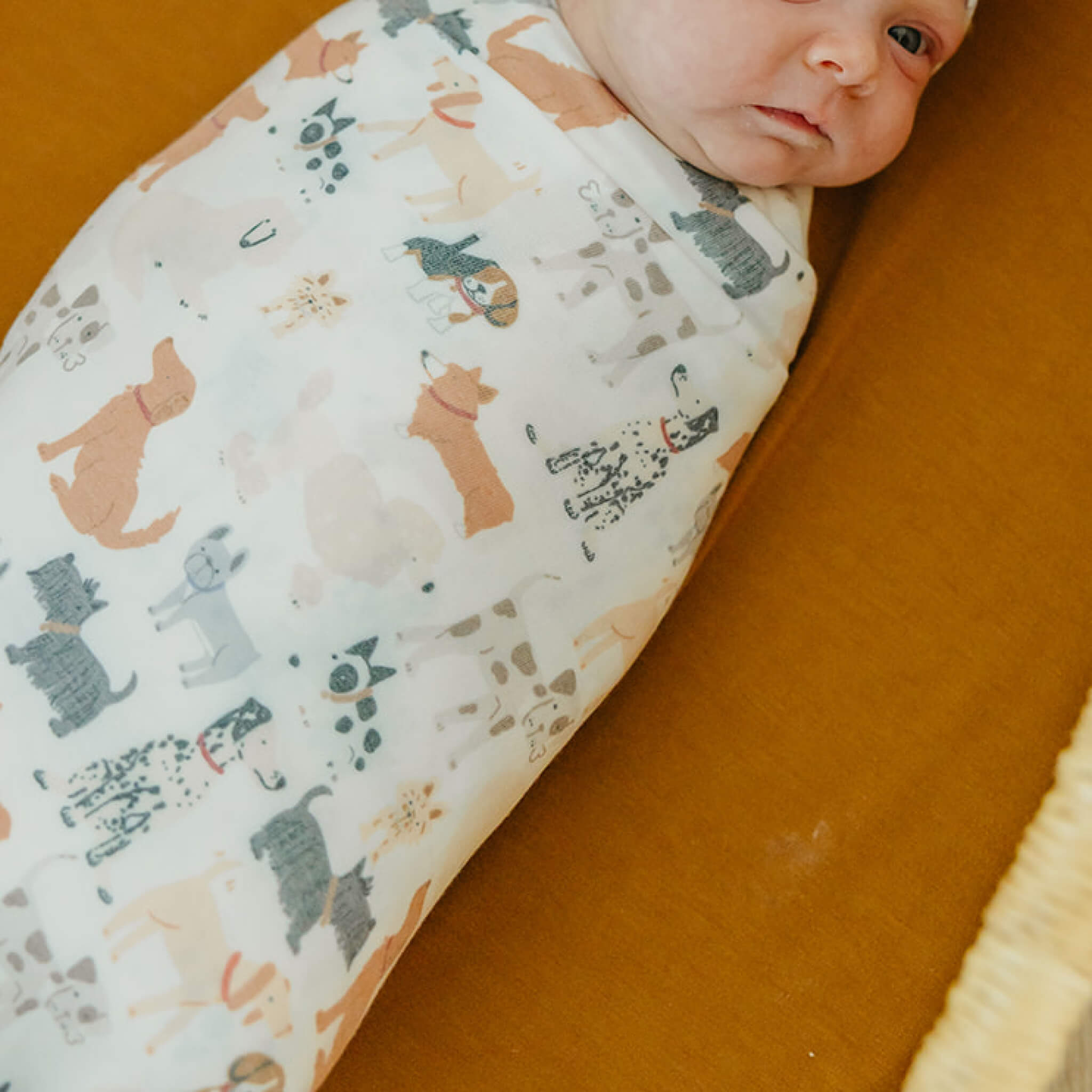 Knit Swaddle Blanket - Rufus