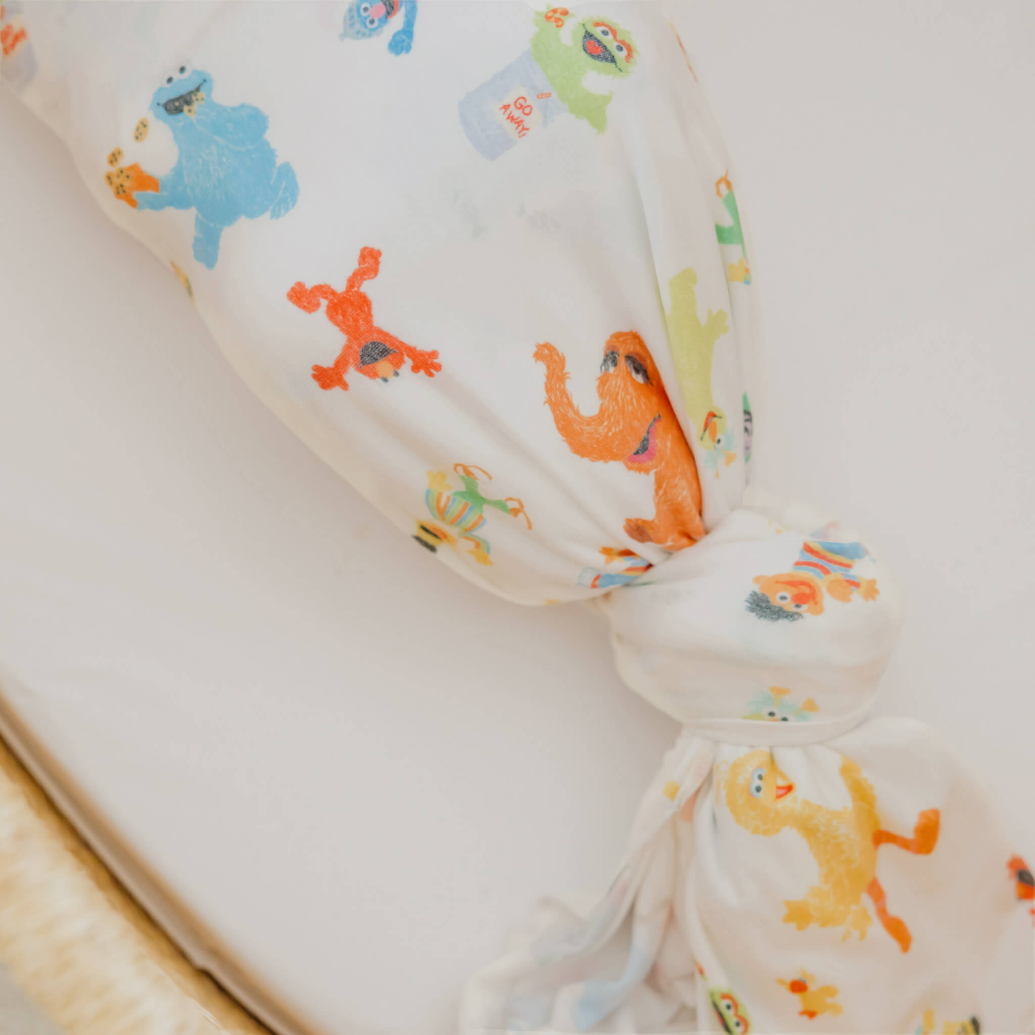 Copper Pearl Premium 3-Layer Knit Sleep Bag - Sesame Friends Design, Sleeveless Baby Sleeping Bag