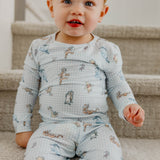 2pc Long Sleeve Pajama Set - Winnie the Pooh and Friends