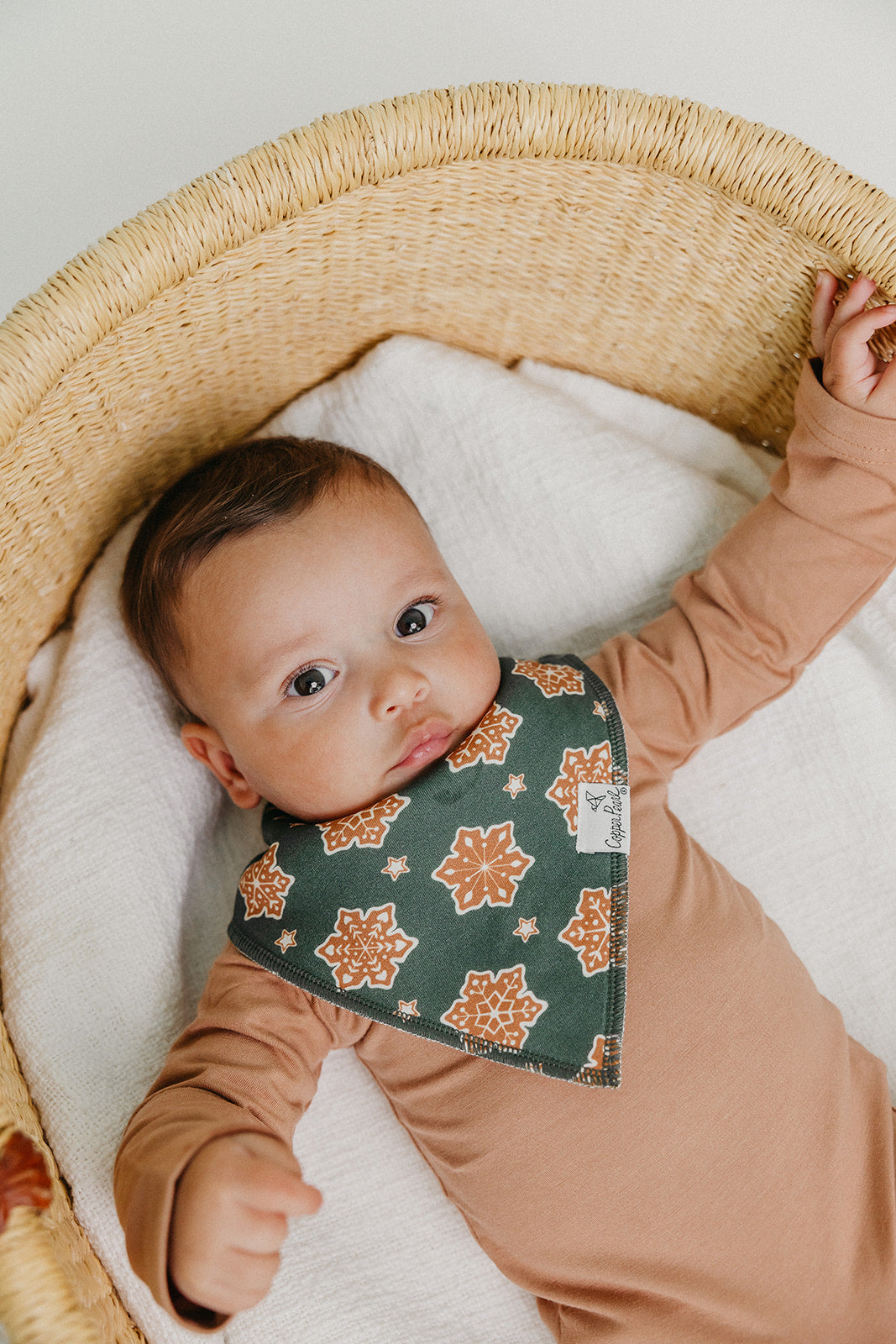 Baby Bandana Bibs - Gingerbread