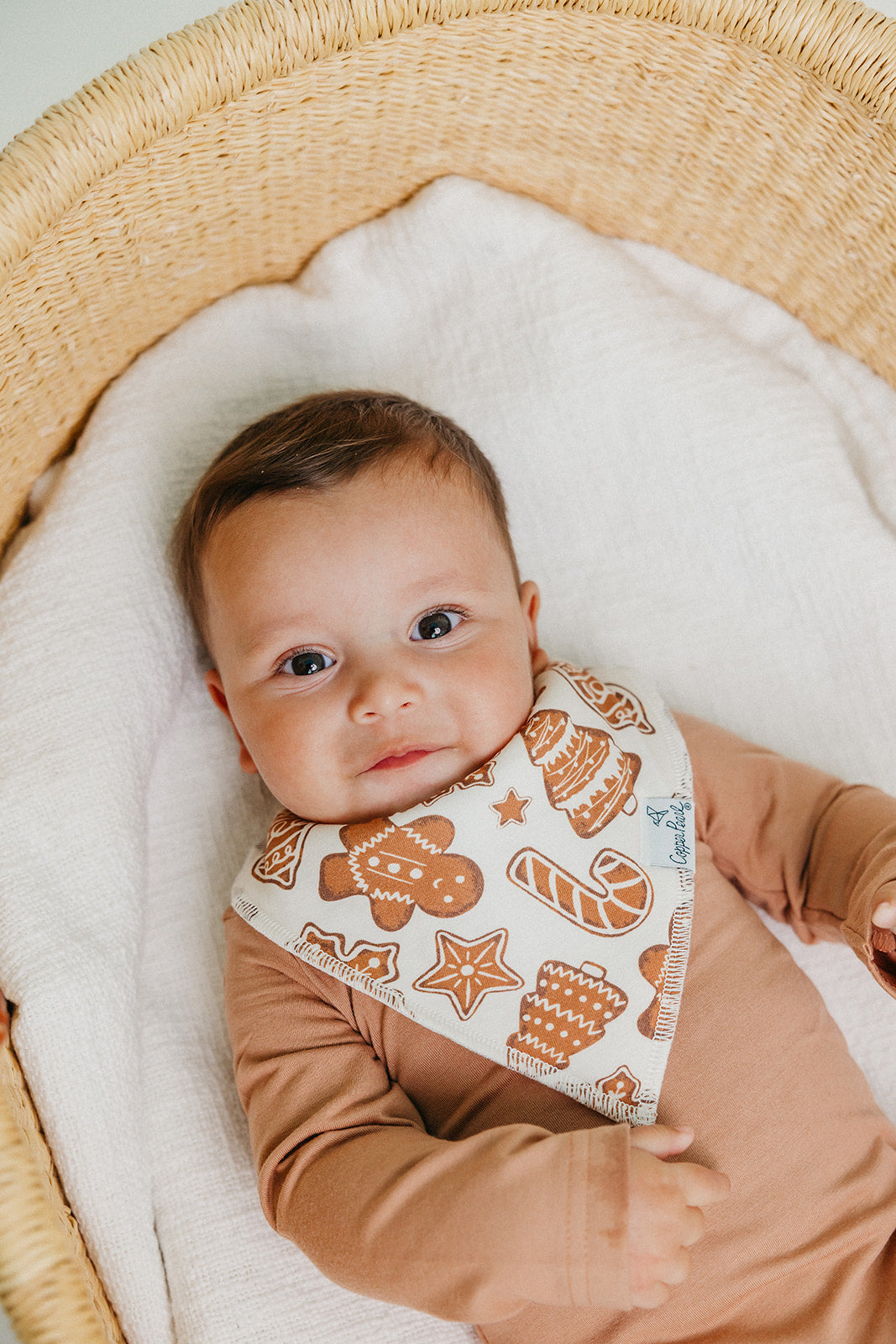 Baby Bandana Bibs - Gingerbread