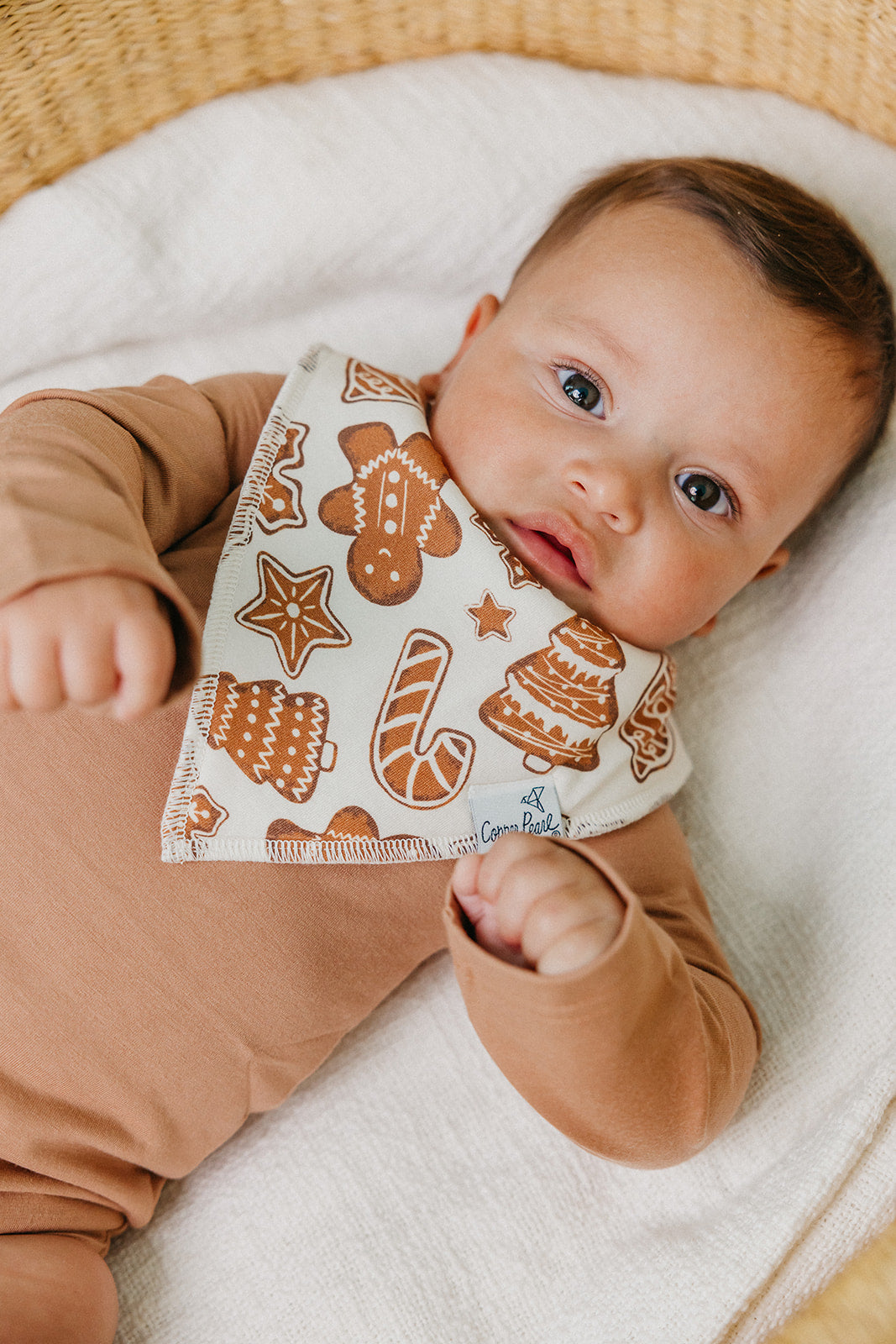 Baby Bandana Bibs - Gingerbread