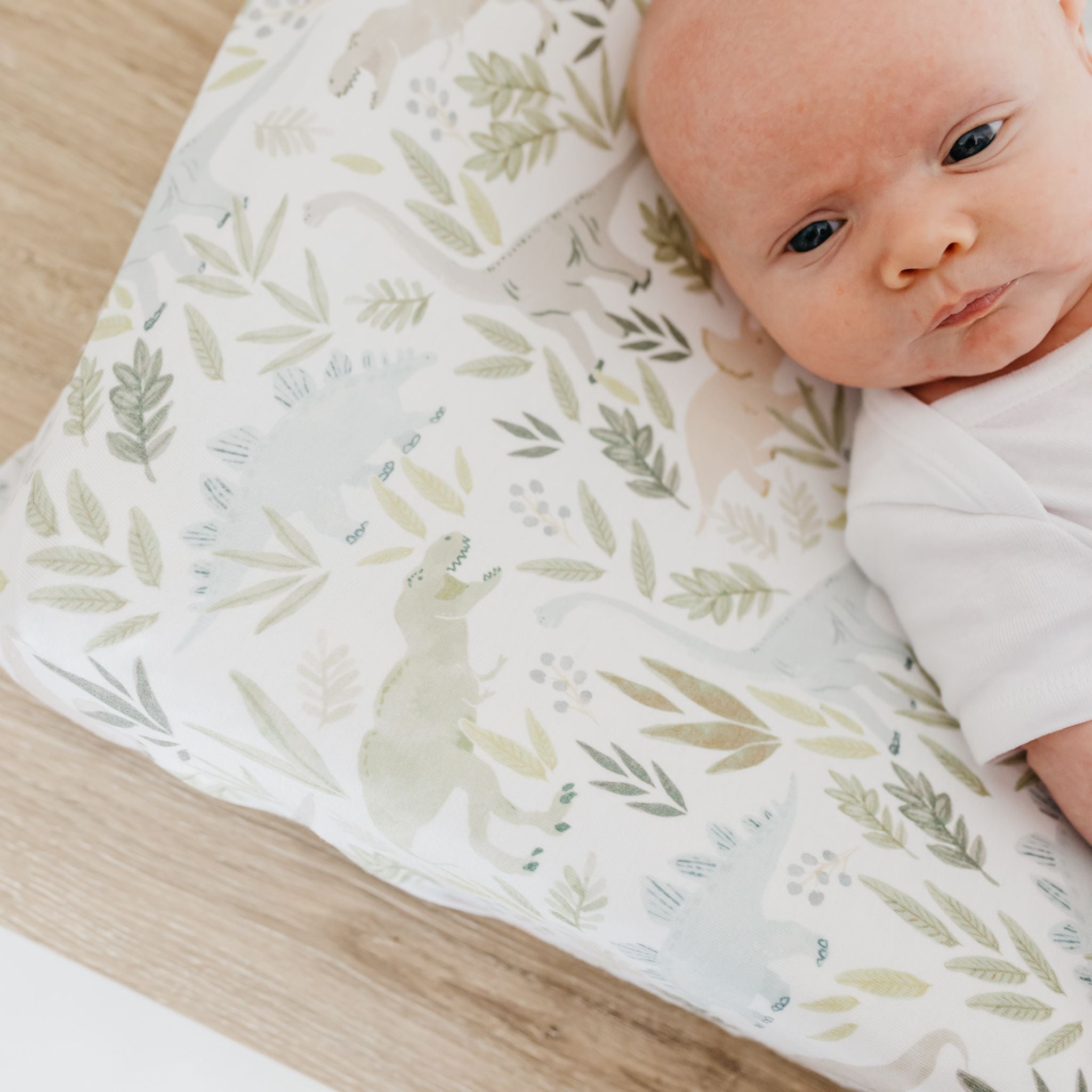 Premium Knit Diaper Changing Pad Cover - Rex