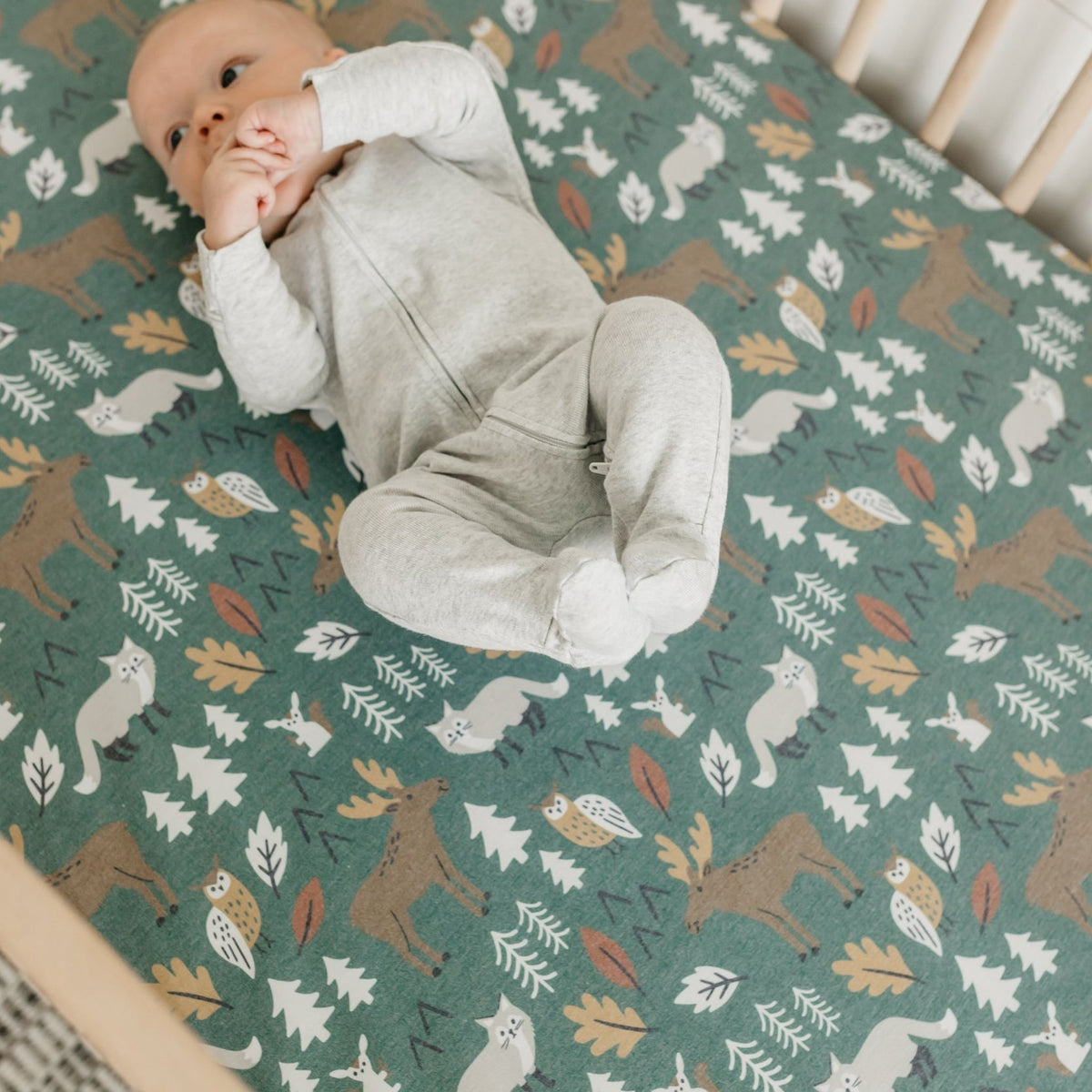 Premium Knit Fitted Crib Sheet - Atwood