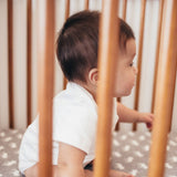 Premium Knit Fitted Crib Sheet - Scout