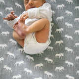Premium Knit Fitted Crib Sheet - Scout