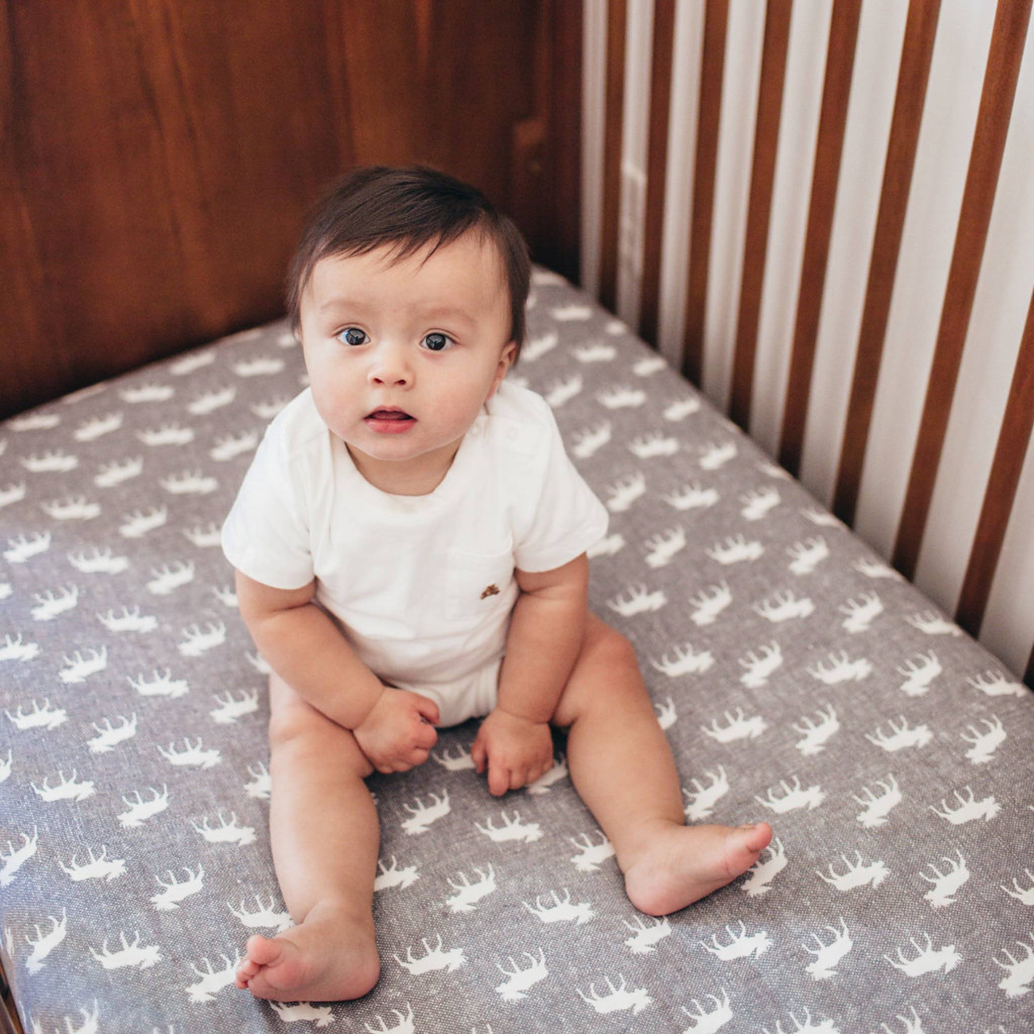 Premium Knit Fitted Crib Sheet - Scout