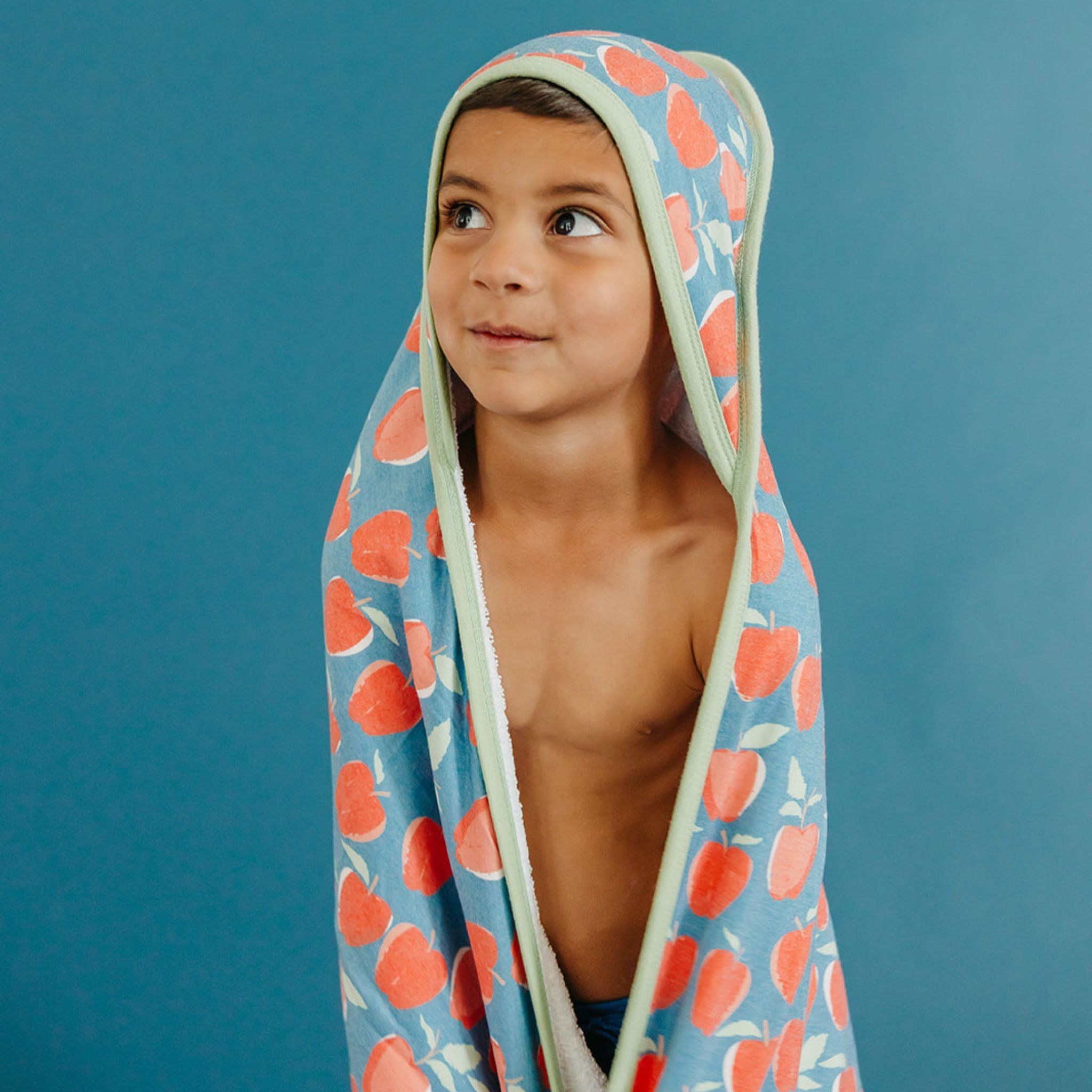 Premium Knit Hooded Towel - Teacher