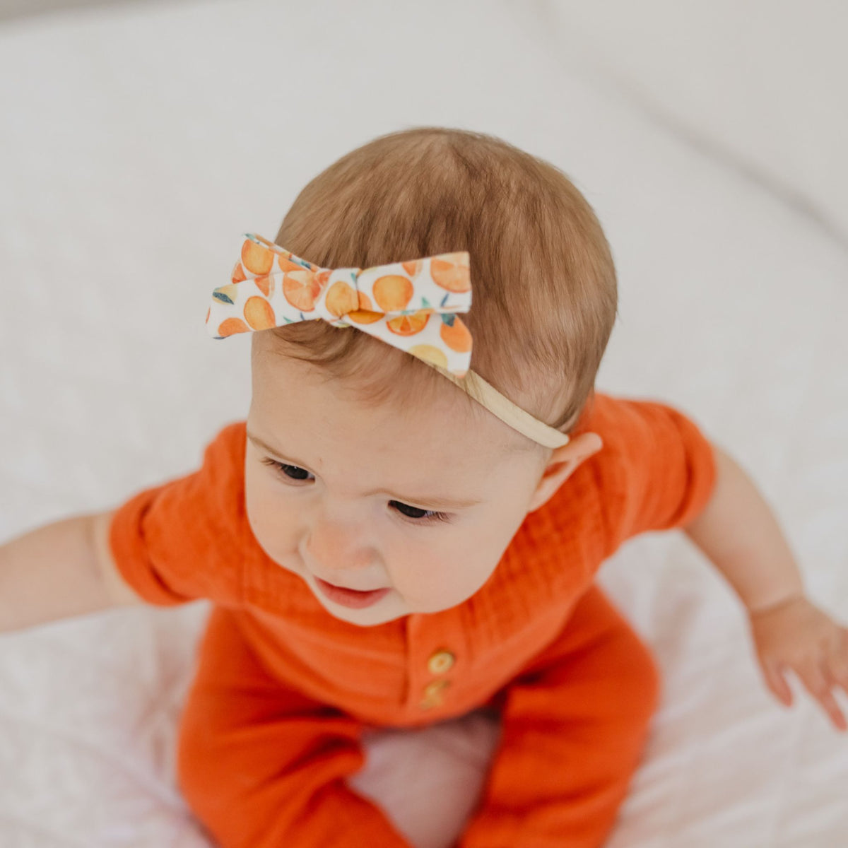 Ribbon Nylon Bow - Citrus